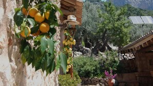 Un sentiero in pietra conduce a un edificio rustico con un limone e un pannello solare.