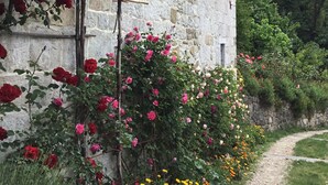 Un bâtiment en pierre, avec un chemin de jardin qui y mène, entouré d’une végétation luxuriante et de plantes en fleurs.