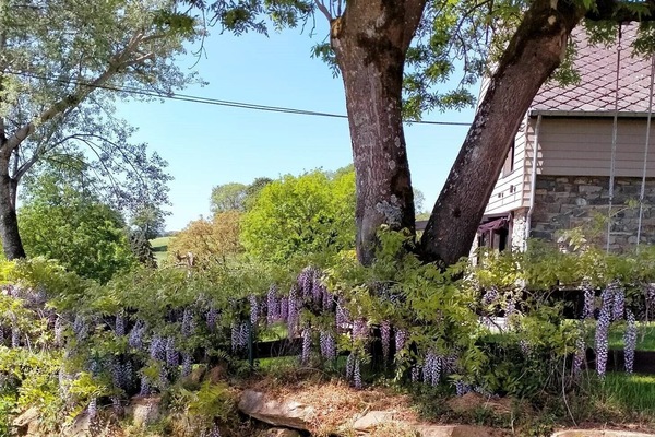Àrea exterior de l'allotjament