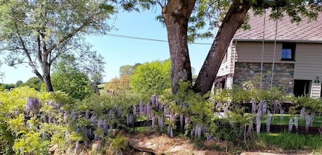 Property grounds. Magnificent character cottage in the heart of the Ardennes