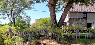 Magnificent character cottage in the heart of the Ardennes
