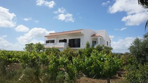 A white building with a red-tiled roof, surrounded by lush green vineyards. - Spacious Contemporay apartment in an independent villa (Porches)