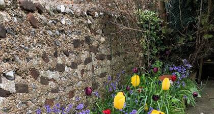 Herrliche Central Brighton mit Garten