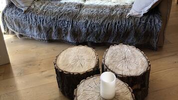 Televisión, chimenea, reproductor de DVD, libros