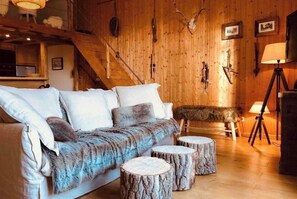 TV, fireplace, DVD player, books