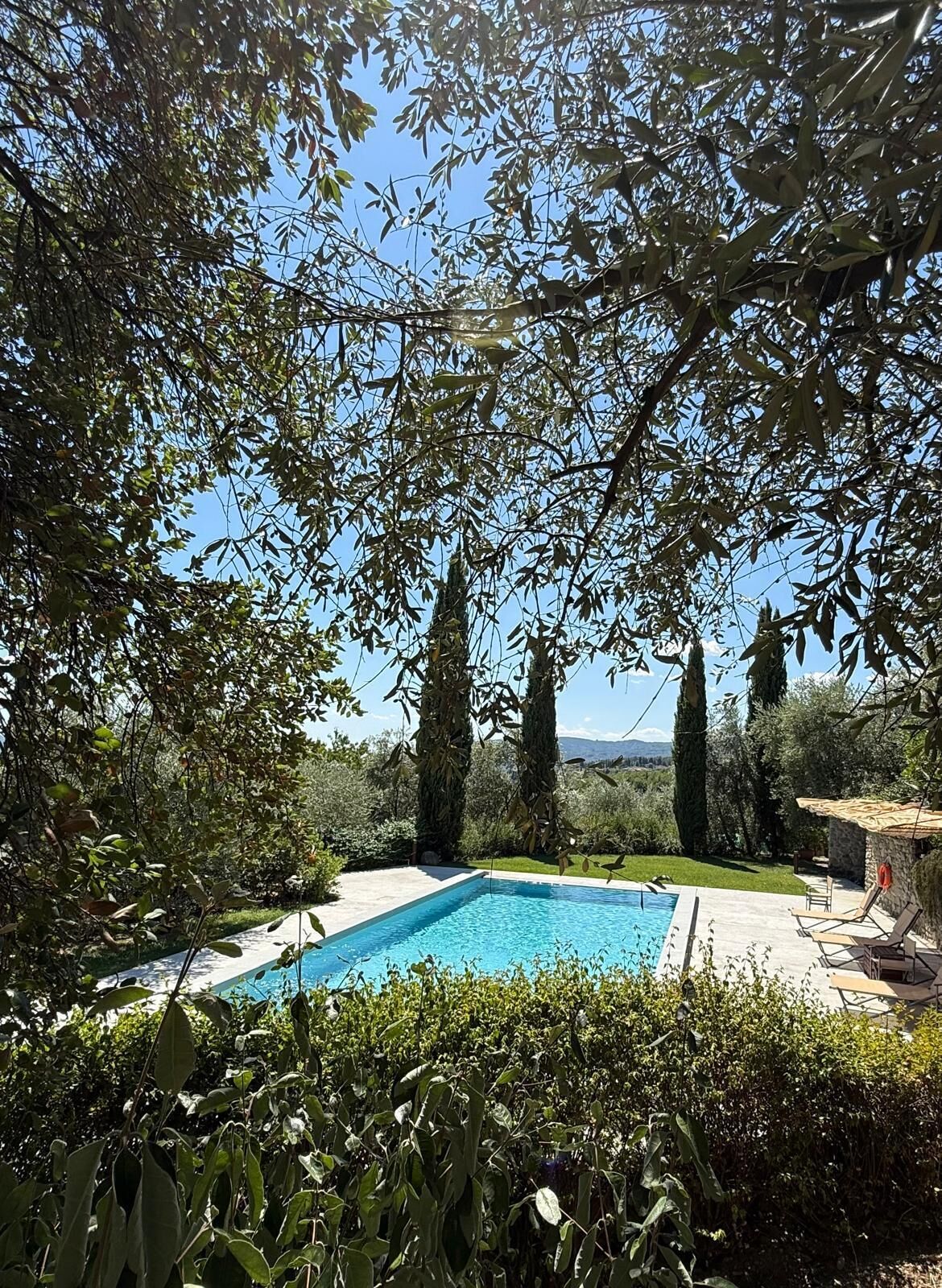 A swimming pool surrounded by lush greenery and tall trees, with a clear view of the sky and distant landscape.
