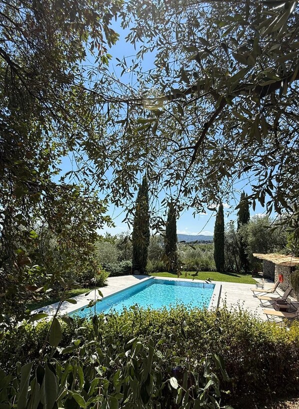 Uma piscina rodeada por vegetação exuberante e árvores altas, com vista clara para o céu e paisagem distante.