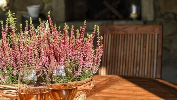 Una mesa de madera con dos copas de vino y una cesta de flores de brezo.