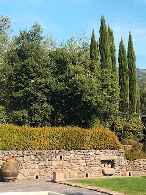 Lovely garden around the pool