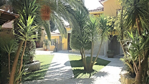 Un patio con palmeras, un sendero de piedra y edificios amarillos con tejados de baldosas.