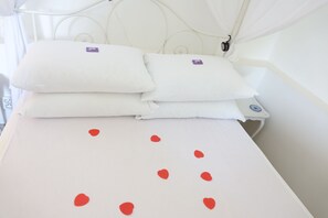 Bed sheets, wheelchair access -  Delightful romantic gite, ideal for couples.10% off Brittany Ferries. (Barenton)