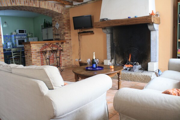 TV, fireplace, DVD player - House / Villa - Trélou sur Marne (Trélou-Sur-Marne)