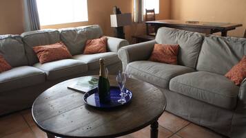 Télévision, cheminée, lecteur de DVD