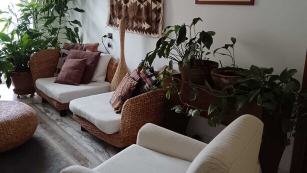 A living room with a sofa, armchair, hanging plant, and a framed picture on the wall. - Your home in the heart of bari near beach old town and station (Bari)