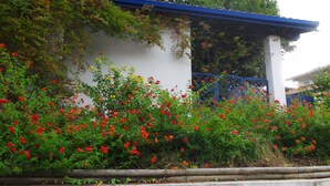 A building with a white exterior and blue roof, surrounded by dense foliage and vibrant red flowers.