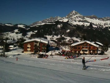 Sne- og skisport
