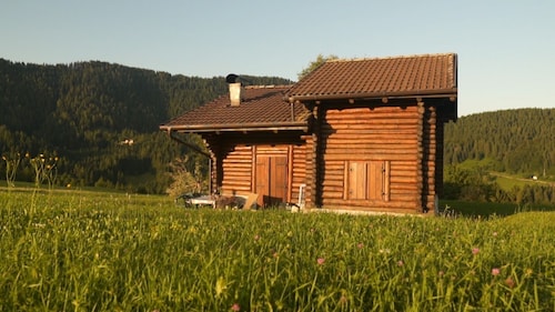 Chalet surrounded by greenery near MTB routes