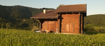 Chalet surrounded by greenery near MTB routes
