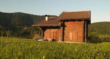 Chalet surrounded by greenery near MTB routes