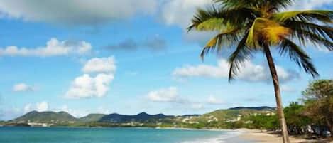 Chaises longues, serviettes de plage