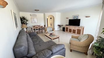 Smart TV, fireplace, DVD player, books