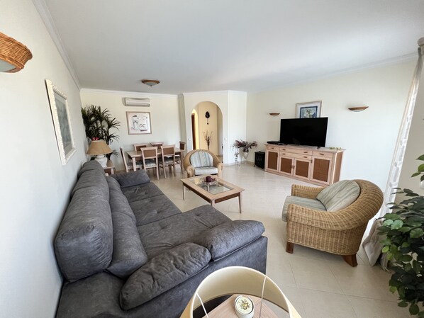 Smart TV, fireplace, DVD player, books