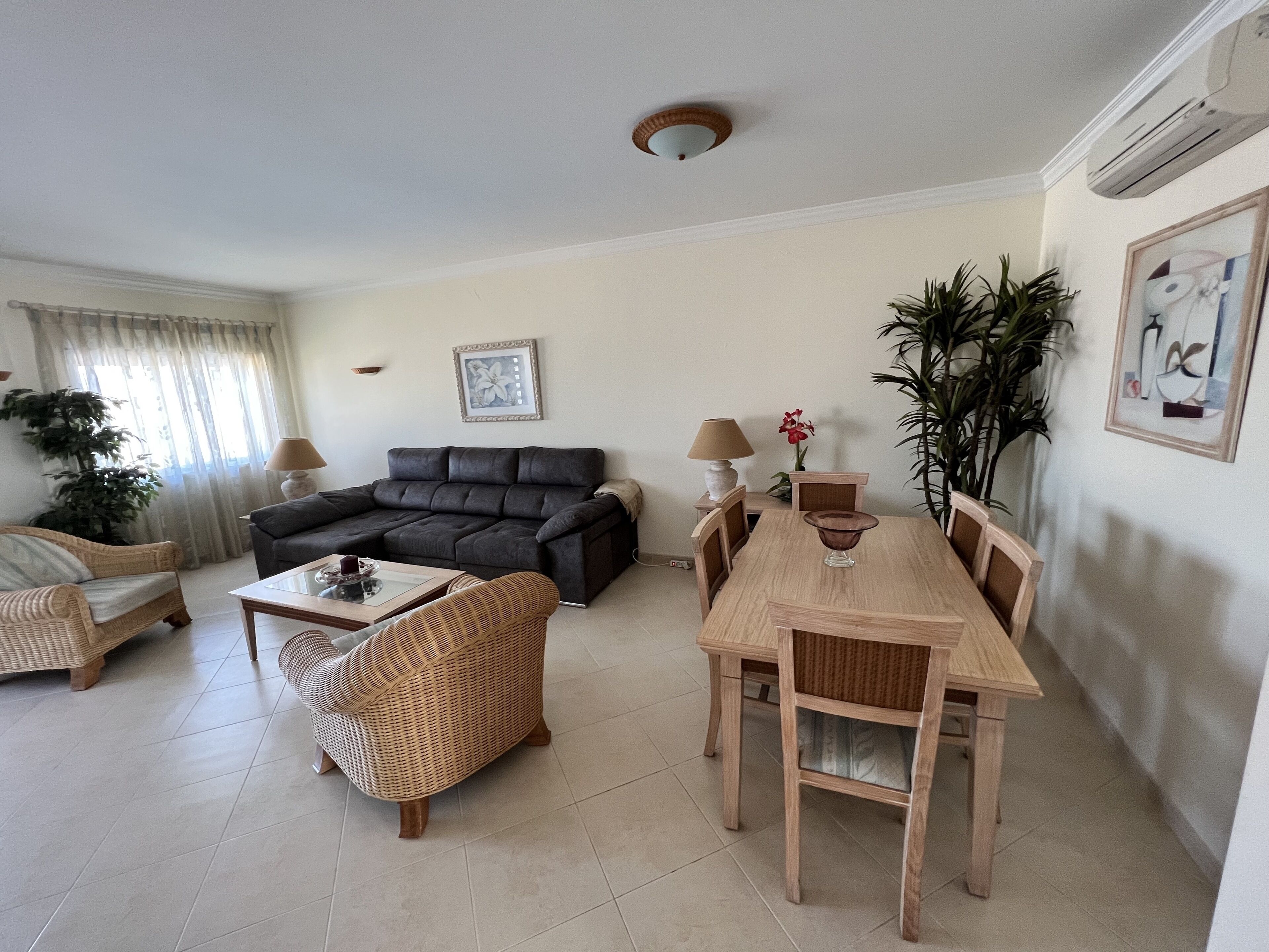 A living room with a sofa, a dining table with chairs, a coffee table, and a potted plant.