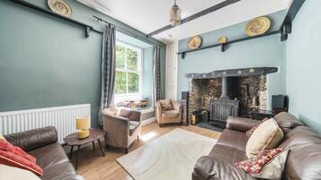 Smart TV, fireplace, video games, DVD player