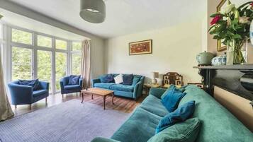 TV connectée, cheminée, jeux vidéo, lecteur de DVD