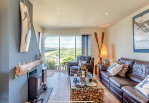 Smart TV, chimenea, reproductor de DVD y libros 
