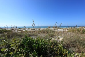 A beach with sparse vegetation and a clear sky. - On the beach, Sunset view, Monthly rental 2B/2B Pool&Tennis (Longboat Key)