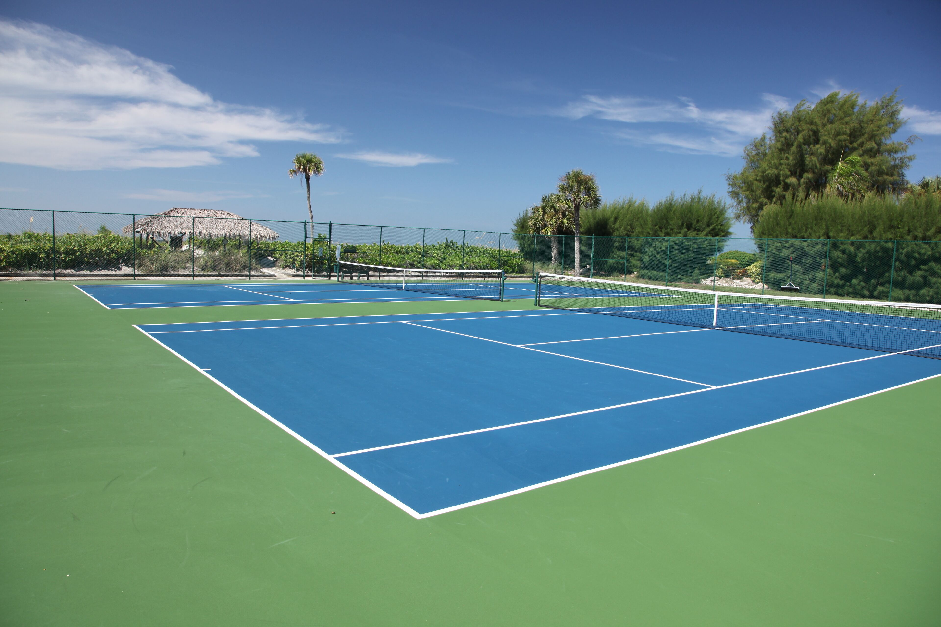 A tennis court with a net, surrounded by greenery and a clear sky.