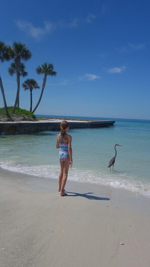 Am Strand, Liegestühle, Strandtücher