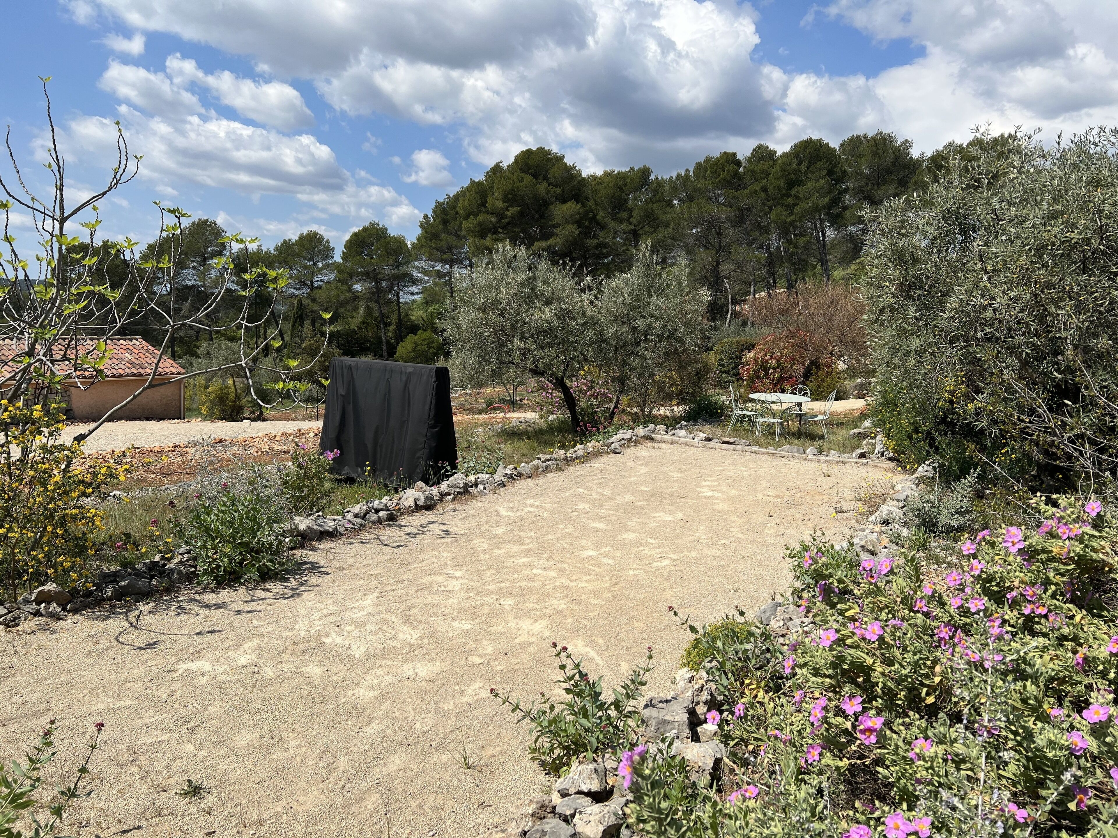 A garden with a dirt path, various plants, and a covered table.