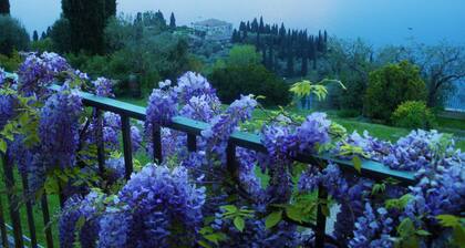 'Stunning Views': beachfront villa with pool