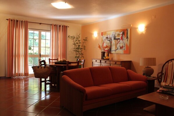 Televisión, chimenea, reproductor de DVD y estéreo 