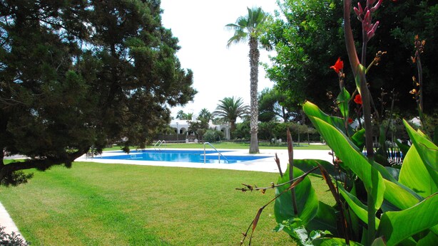 Une piscine entourée d’une végétation luxuriante et de palmiers.