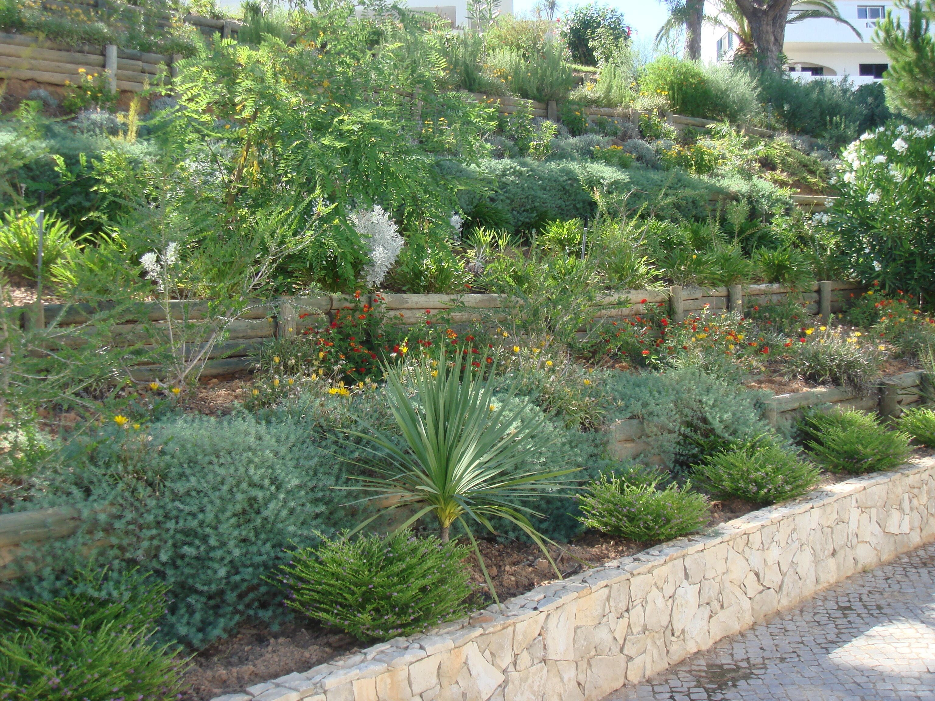 A landscaped garden with various plants and a stone retaining wall.