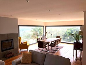 Smart TV, fireplace, DVD player, books