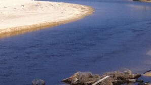 Une rivière aux rives sablonneuses, sous un ciel bleu et dégagé.