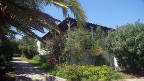 A stone pathway leading to a building with a tiled roof, surrounded by lush greenery and flowering plants. - Elia apartment Holiday paradise next to the beach (Agia Triada, Koroni, Messinia)