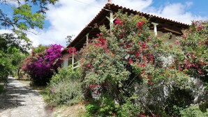 A traditional house with a stone pathway leading to it, surrounded by lush greenery and flowering plants. - Elia apartment Holiday paradise next to the beach (Agia Triada, Koroni, Messinia)