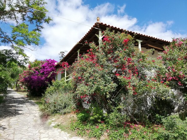 Una casa tradicional con un camino de piedra que conduce a ella, rodeada de abundante vegetación y plantas con flores.