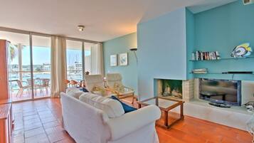 Smart TV, fireplace, DVD player, books