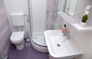 Combined shower/bathtub, hair dryer, towels, soap