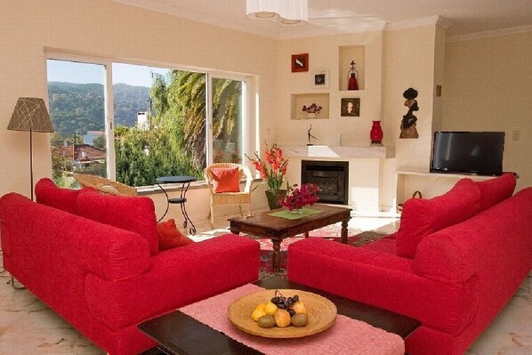 TV, fireplace, ping pong, books