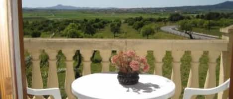 Un balcon avec une table et des chaises, un vase de fleurs et une vue sur un paysage verdoyant, avec des arbres et une route.