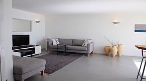 TV, DVD player, books