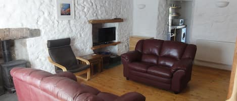 TV, fireplace, DVD player, books