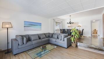 Tv, dvd-afspiller, bøger